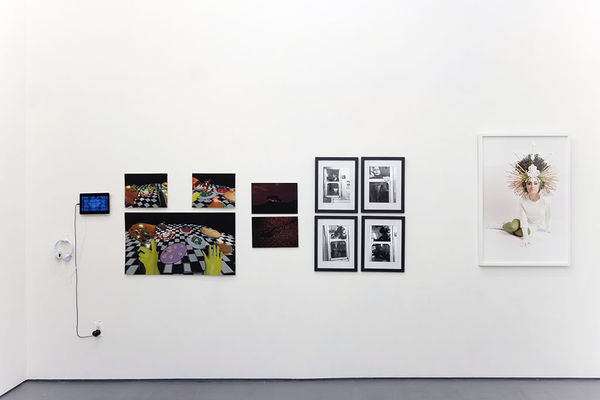 Install photo of gallery during "The Invisible Dog Goes for a Walk" group exhibition