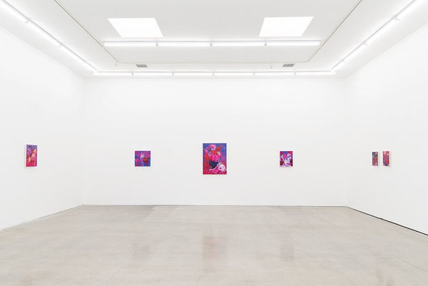 Installation view of Megan Ellen MacDonald exhibition