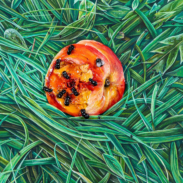Nic Dyer painting of half eaten peach covered in ants sitting on grass
