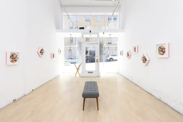 Installation: "The Garden" Sean Newport