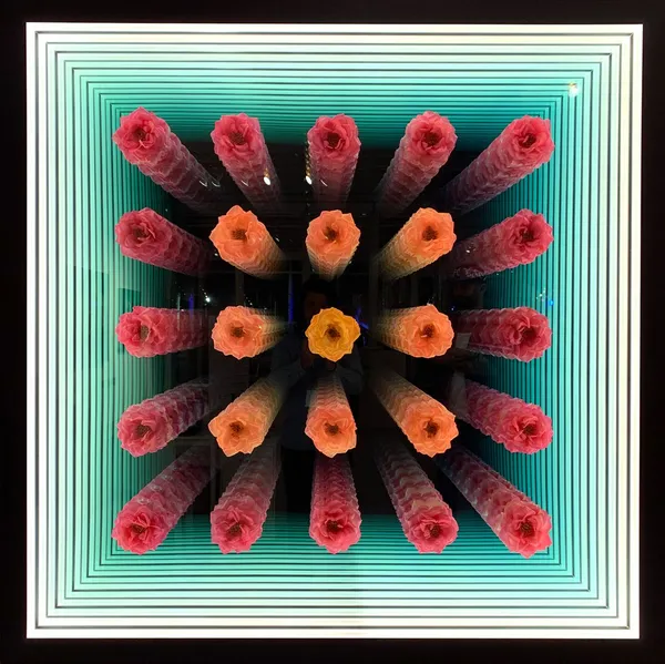 Peter Gronquist infinity mirror