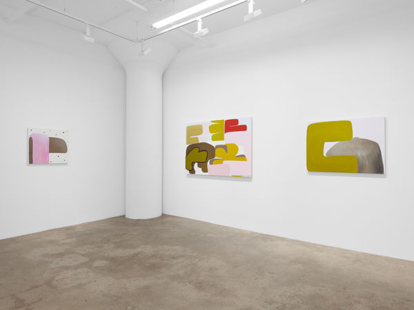 Belcourt Hug Installview Medium 3