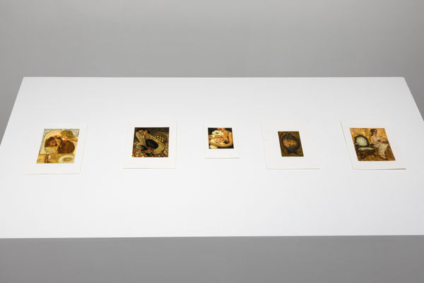 Hesseflatow July2021 9792