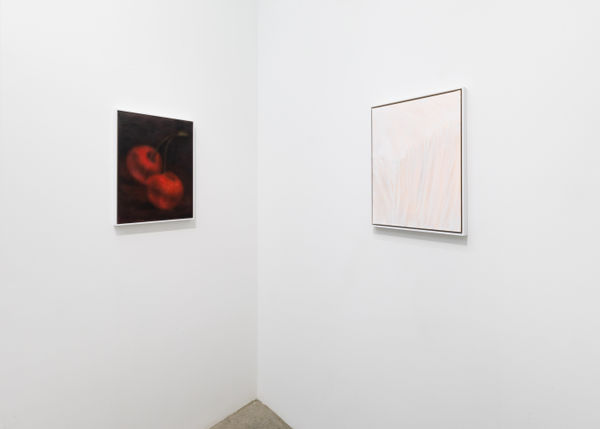 Ford Duh High Install View 4