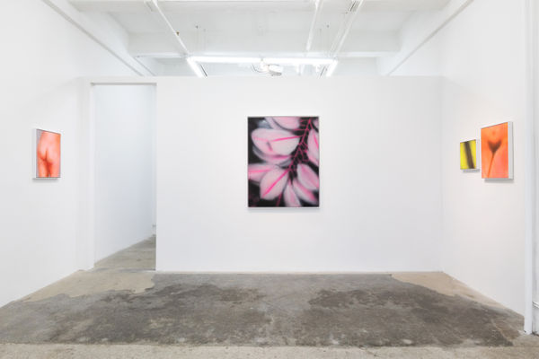 Ford Duh High Install View 6