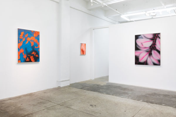 Ford Duh High Install View 7