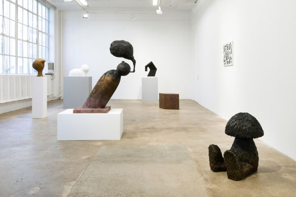 Carl D'Alvia Fundamentals