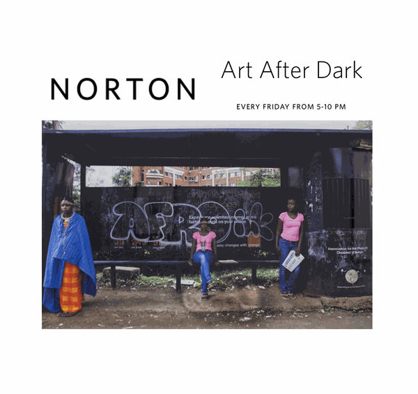 Adama Delphine Fawundu Upcoming Lecture at Norton Museum of Art