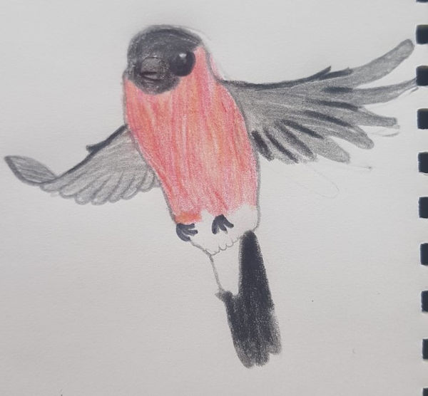 Isla, aged 10. Inspired by Pablo Picasso.