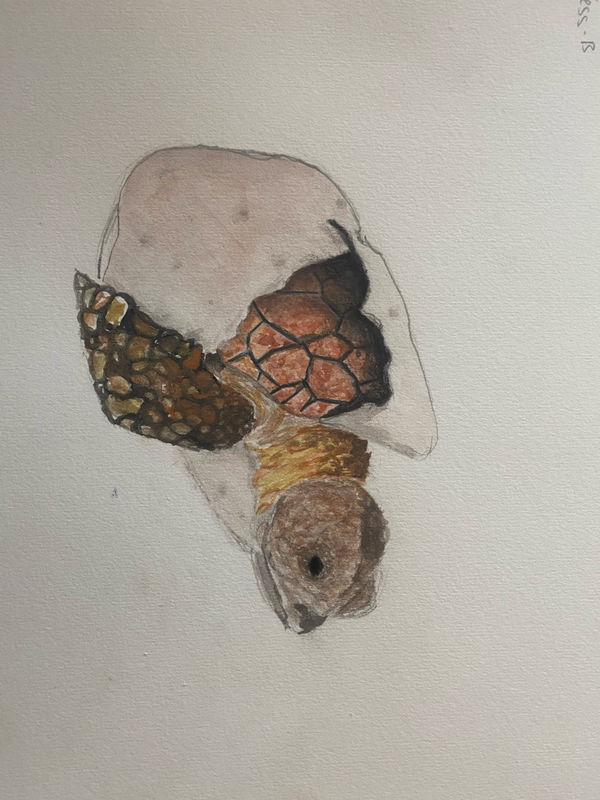 Jessica Bunce, aged 12. Inspired by Marc Chagall