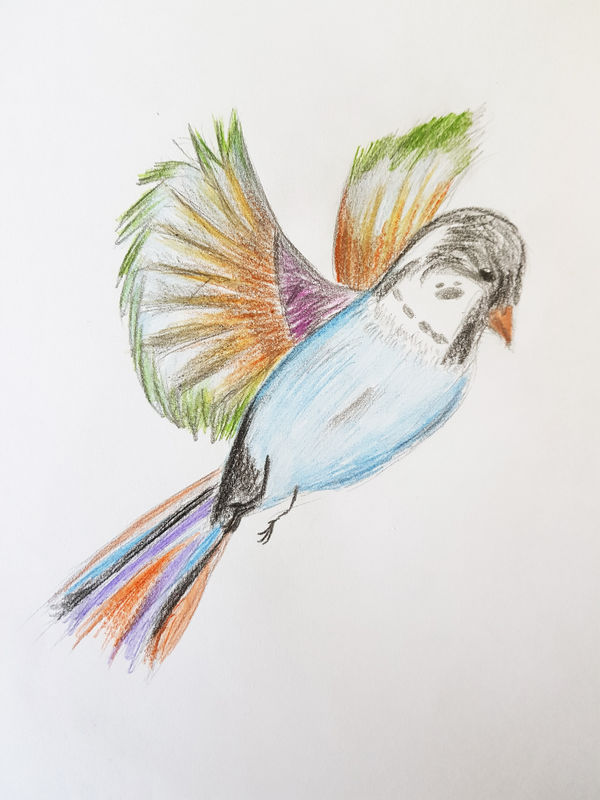 Julija Turskytė, aged 11. Inspired by Pablo Picaso's Colombe (a l'Arc de Ciel), 1952.