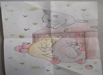 Mehek Ullah Capa, age 11.