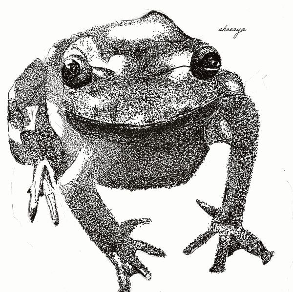 Shreeya Kamdar, aged 10. Inspired by Picasso.