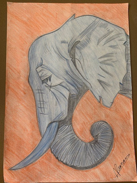 Aidan Parmar, aged 14. Inspired by Andy Warhol.