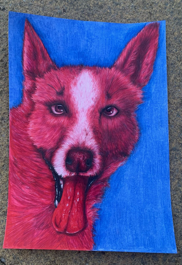 Charlotte Morse, aged 16. Inspired by Andy Warhol.