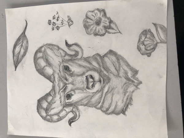 Isobel Stewart, aged 14. Inspired by Andy Warhol's Cow, 1971.