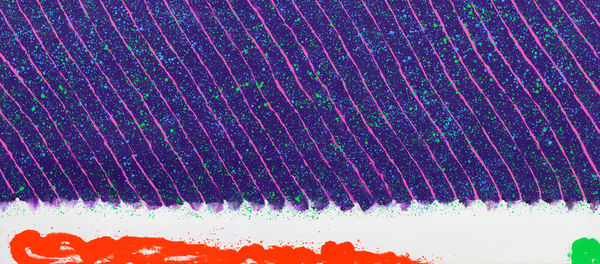 Flying over the Eternal Garden-23 飛越永久的花園-23, 1998