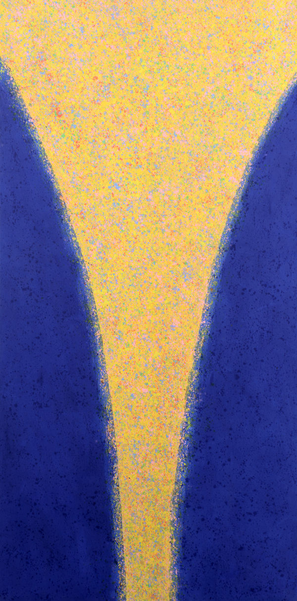 Universal Light 神光, 2008