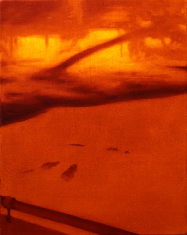 Alligators by Diego Herman, 2025