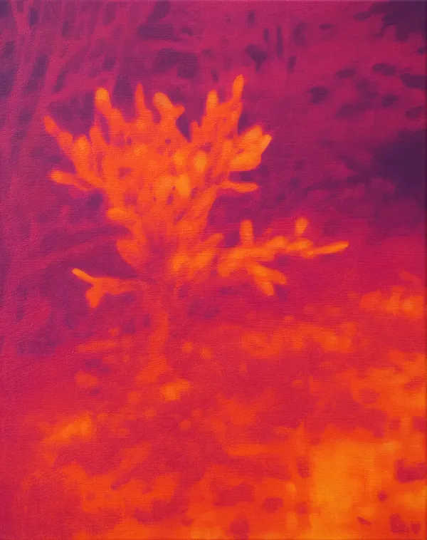 Nopal by Diego Herman, 2026