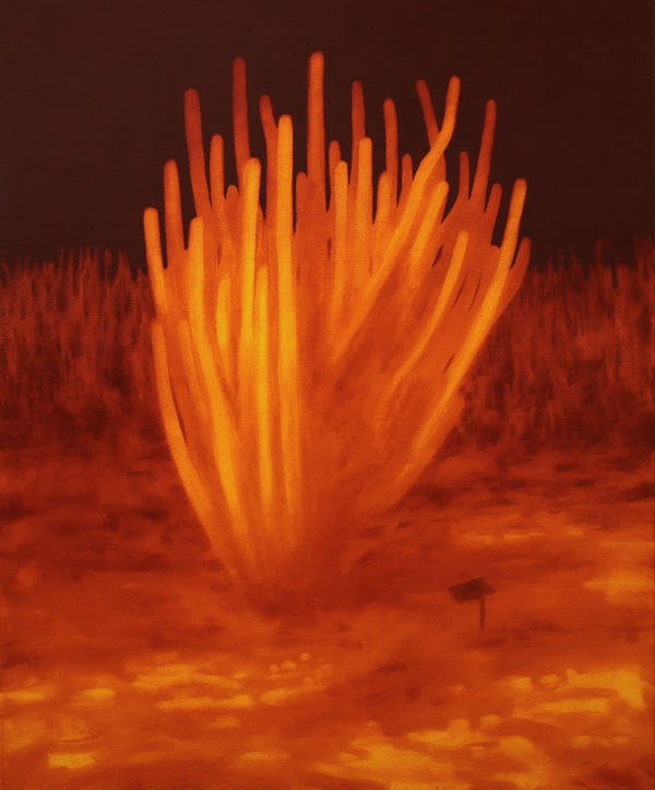 Diego Herman, Murcielagos ALV!, 2026