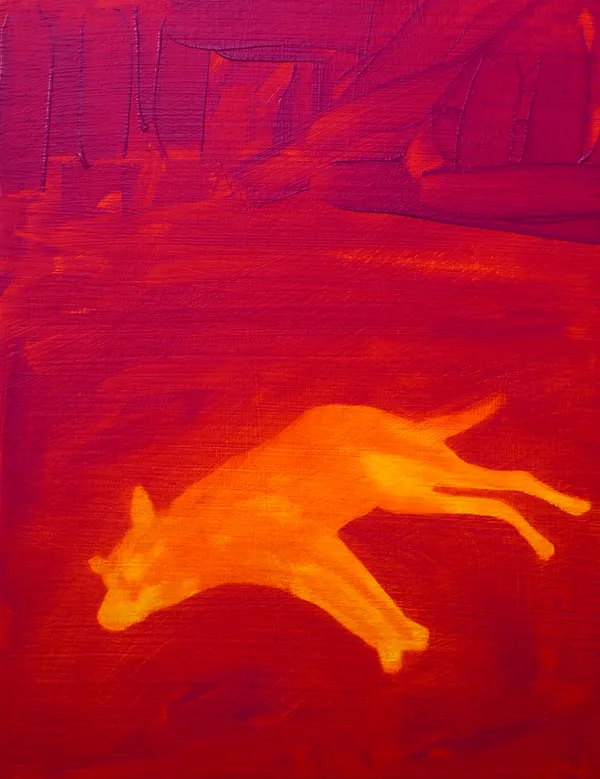 Diego Herman, Perro hechandose un coyotito, 2026