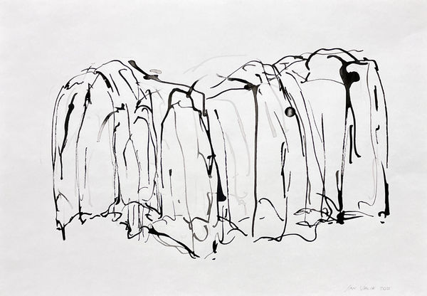 Jan Valik, Untitled (Fragile Veils series) , 2021