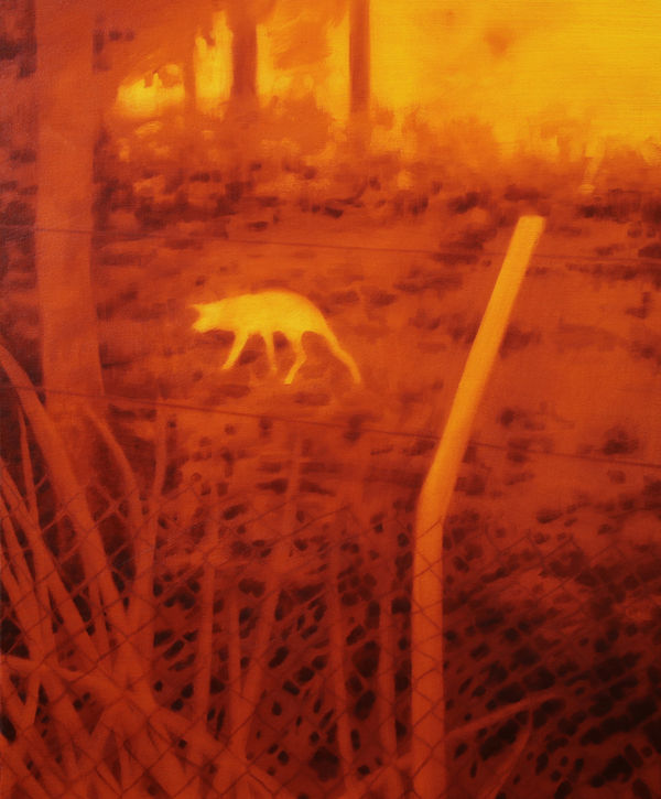 Diego Herman,Seeing through a Fence, 2026