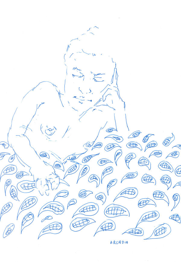 Arcadia by Peter Depelchin