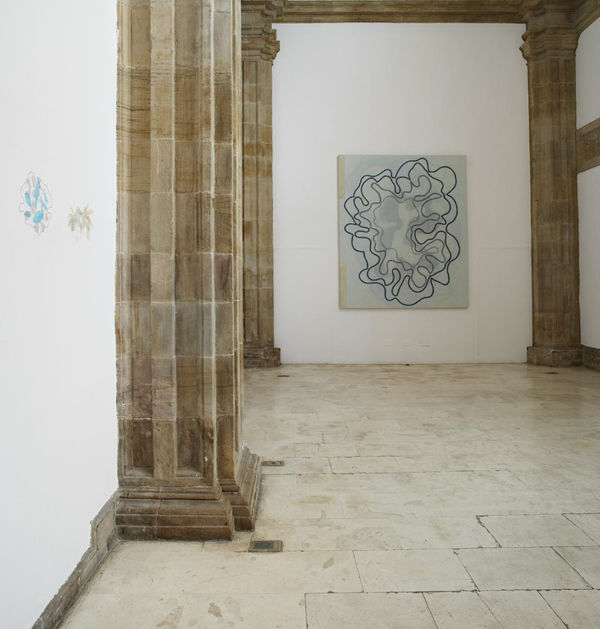 Alejandro Corujeira, Image from La Elevación Quieta at Museo Barjola, 2010