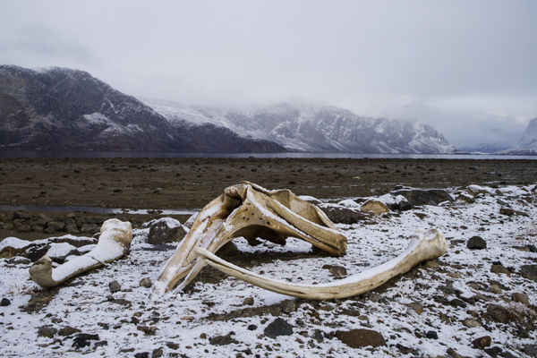Pangnirtung, Nunavut, Canada, 2022