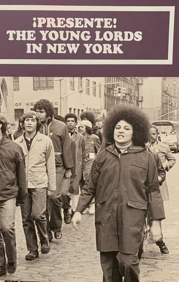 ¡PRESENTE! THE YOUNG LORDS IN NEW YORK, Bronx Museum | El Museo del Barrio | Loisaida