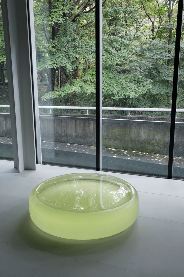 RONI HORN | i8 Gallery