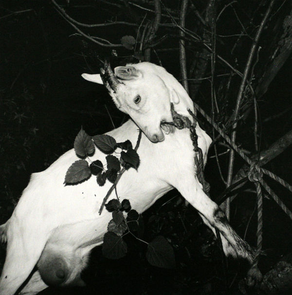 Issei Suda - Untitled, from Landscape with Chimney, c1980