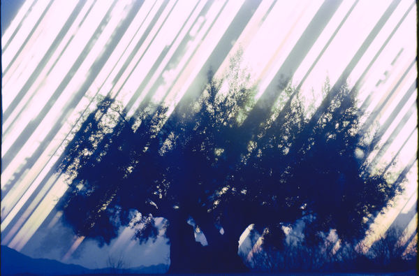 Ken Kitano - Gathering light, Amagasaki City, Hyogo, (West side), from winter solstice 2018 to summer solstice 2018