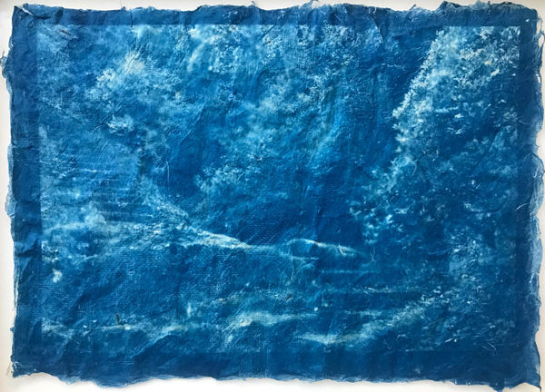 #50 Trees, Water and Light - Mika Horie