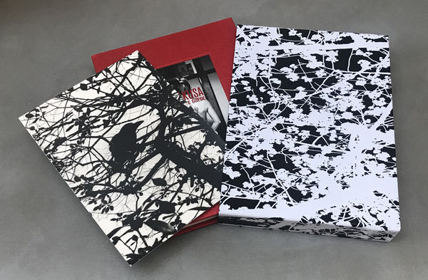 Asakusa - Ronin de Goede