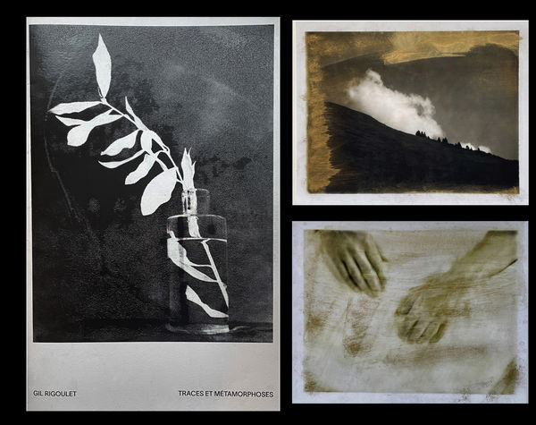Traces et Métamorphoses - Gil Rigoulet, Special Edition in a box with a screen printed brass image, including a unique...
