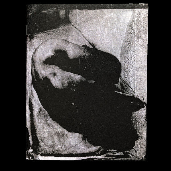 PLAGUE - Tomasz Laczny