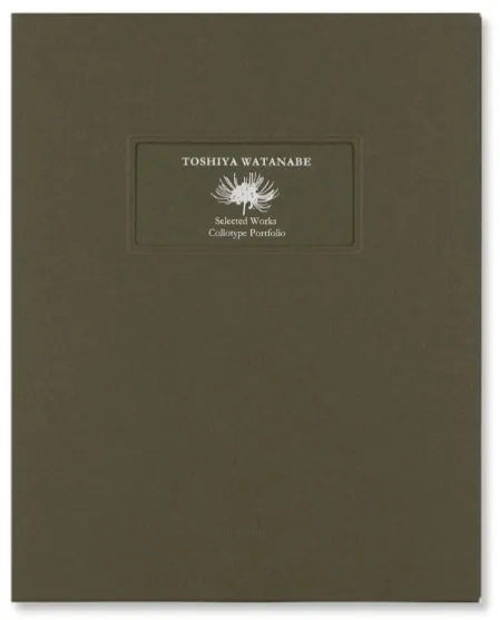 Selected Works - Toshiya Watanabe