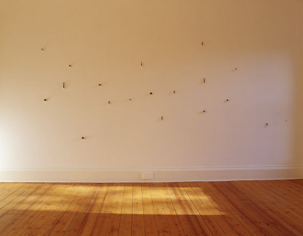 Voewood [18 part installation] 2004 sunlight on wood with mapping pins various