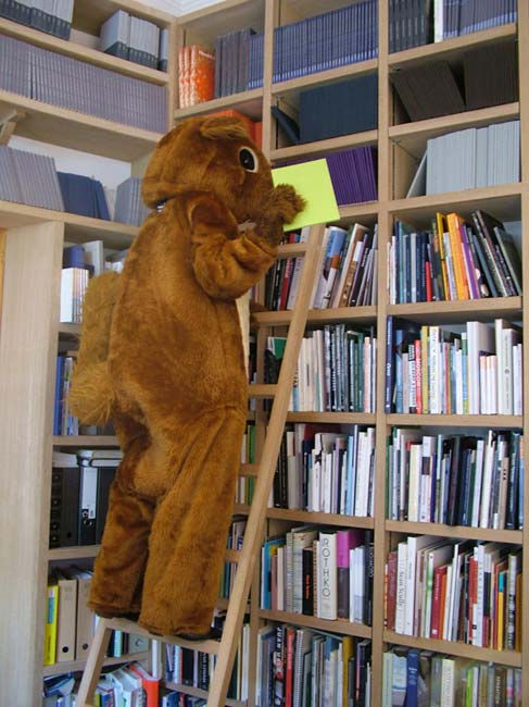 Festival Proposals (woodland creatures)