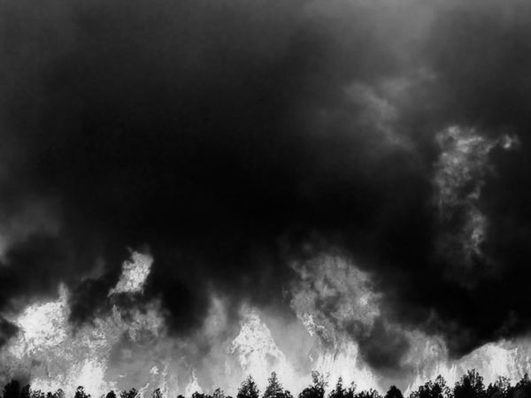 Billboard for Edinburgh: Lisa Oppenheim