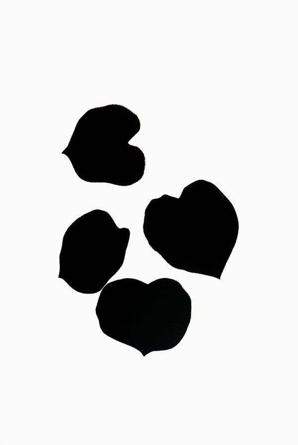 Grape Leaves III 1973-74 transfer lithograph on 300-gram Arches Paper 120 x 780 cm paper size | Edition of 50