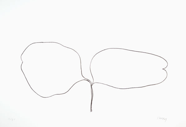 Locust (Acacia) 1965-66 Lithograph on Rives BFK paper | Edition of 75 61 x 89.9 cm paper size