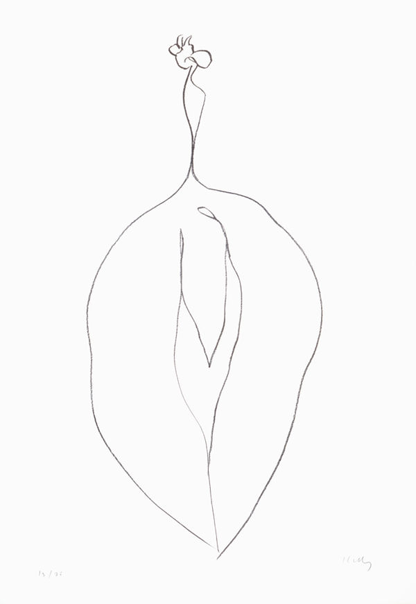 Seaweed (Algue) 1965-66 Lithograph on Rives BFK paper | Edition of 75 90.5 x 62.9 cm paper size