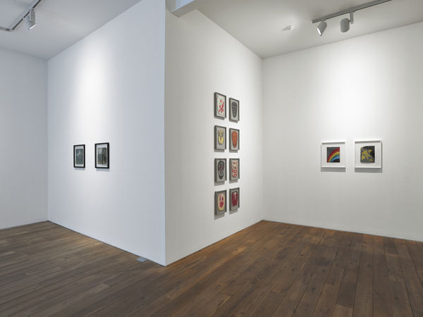 Installation view, Frank Walter, Ingleby, Edinburgh, 28 March - 23 May 2015.