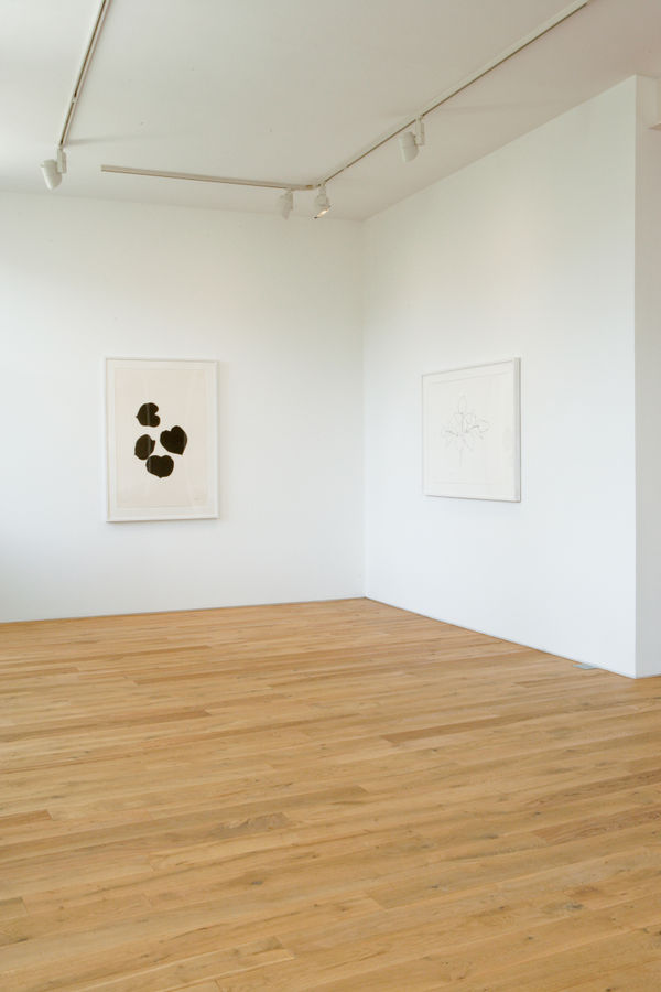 Installation view, Ellsworth Kelly: Plant Lithographs from the Artist's Collection, Ingleby, Edinburgh, 5 December 2008 - 7 February 2009.