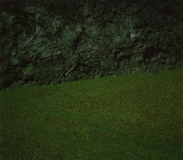 Garry Fabian Miller Green Grain, 1984 Artist’s book containing 19 cibachrome prints Edition of 6 with 2 AP 33 x 33 cm 13 x 13 in (each print, mounted) 48.3 x 48.3 cm 19 1/8 x 19 1/8 in (folio size)