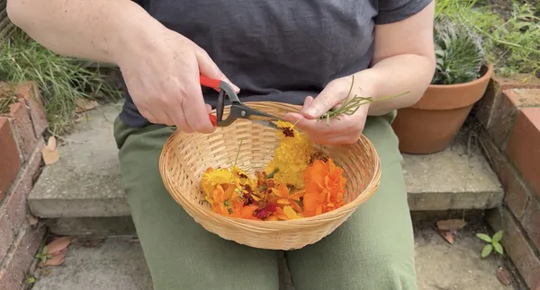 INSTALMENTS | Charlene Scott